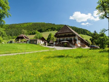 照片: Gruener Baum